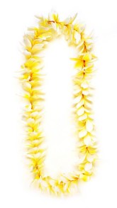 product-plumeria